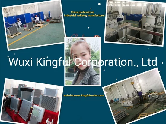 Resfriador, trocador de calor, resfriador de ar e água, resfriador de alumínio, resfriador de óleo